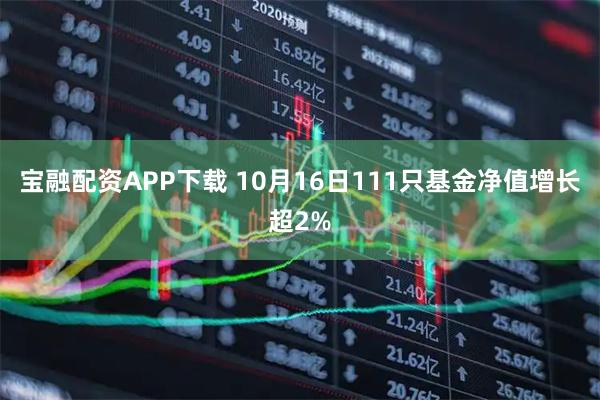 宝融配资APP下载 10月16日111只基金净值增长超2%