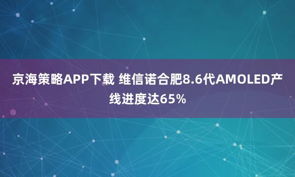 京海策略APP下载 维信诺合肥8.6代AMOLED产线进度达65%